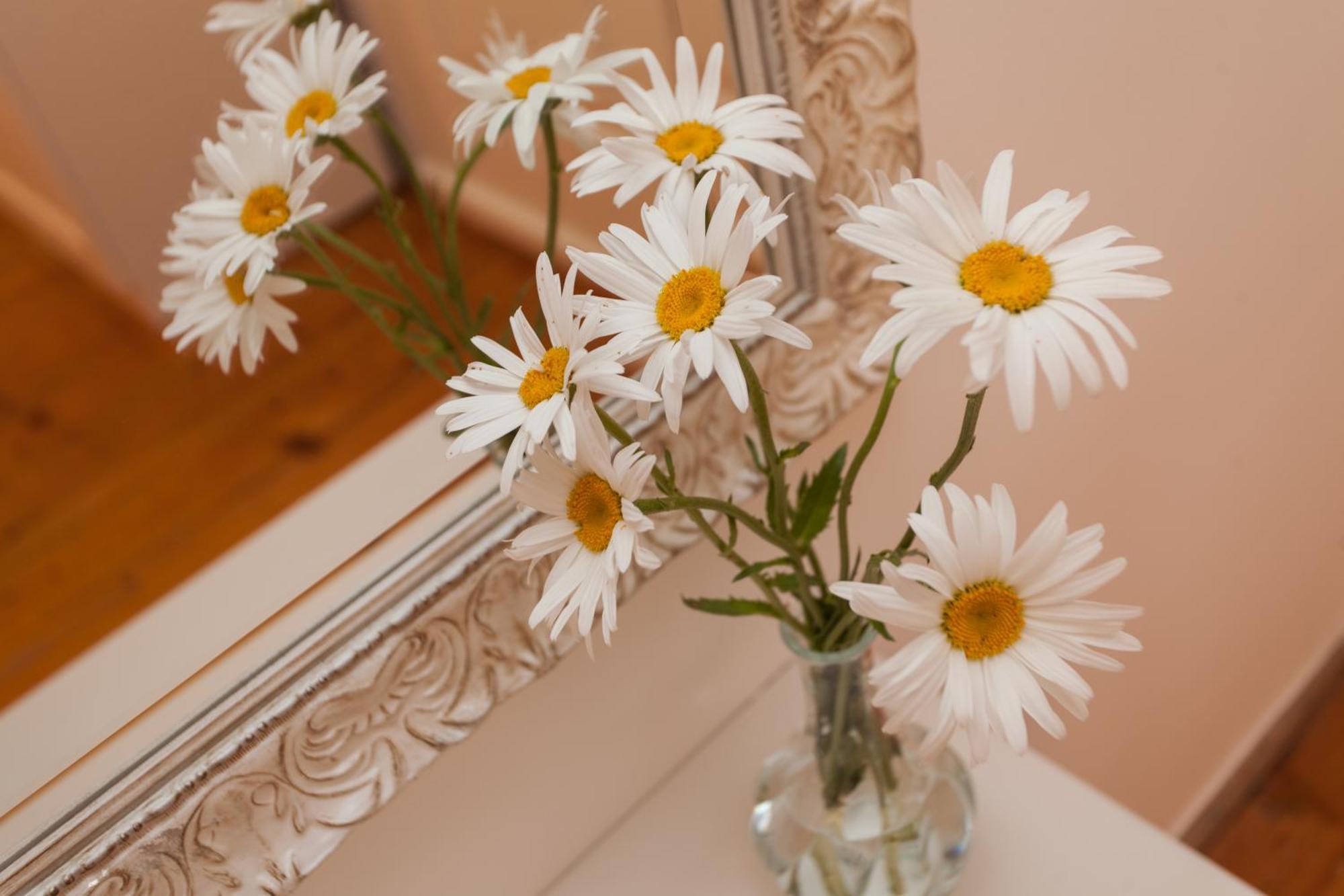 Guesthouse Casa Vittoria โรวีน ภายนอก รูปภาพ